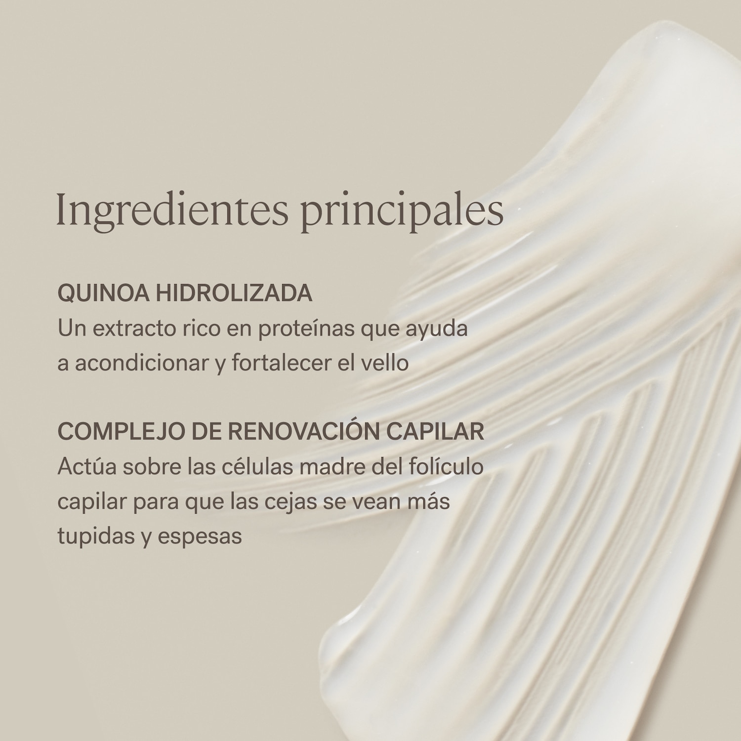 IN FRAME BROW GEL (GEL PARA CEJAS)